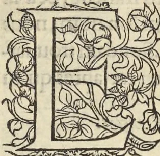 An illustration from L'histoire de la natvre des oyseavx : avec levrs descriptions, & naïfs portraicts retirez du natvrel, escrite en sept livres, 1555, leaf 348
