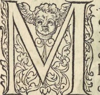 An illustration from L'histoire de la natvre des oyseavx : avec levrs descriptions, & naïfs portraicts retirez du natvrel, escrite en sept livres, 1555, leaf 359