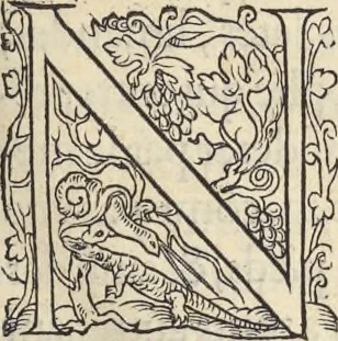 An illustration from L'histoire de la natvre des oyseavx : avec levrs descriptions, & naïfs portraicts retirez du natvrel, escrite en sept livres, 1555, leaf 36