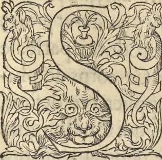 An illustration from L'histoire de la natvre des oyseavx : avec levrs descriptions, & naïfs portraicts retirez du natvrel, escrite en sept livres, 1555, leaf 360