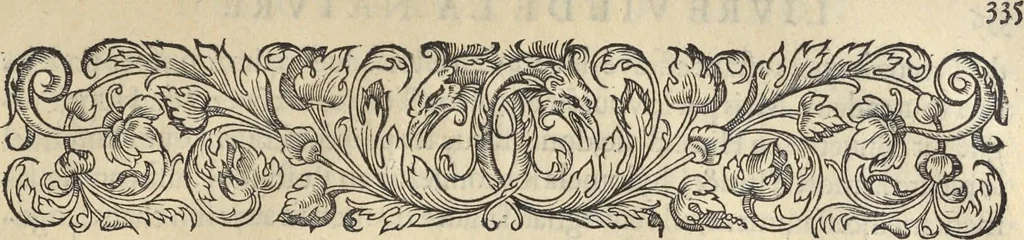 An illustration from L'histoire de la natvre des oyseavx : avec levrs descriptions, & naïfs portraicts retirez du natvrel, escrite en sept livres, 1555, leaf 366