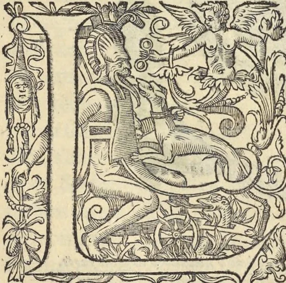 An illustration from L'histoire de la natvre des oyseavx : avec levrs descriptions, & naïfs portraicts retirez du natvrel, escrite en sept livres, 1555, leaf 366