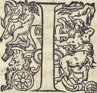 An illustration from L'histoire de la natvre des oyseavx : avec levrs descriptions, & naïfs portraicts retirez du natvrel, escrite en sept livres, 1555, leaf 371