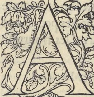 An illustration from L'histoire de la natvre des oyseavx : avec levrs descriptions, & naïfs portraicts retirez du natvrel, escrite en sept livres, 1555, leaf 375