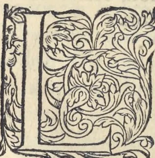 An illustration from L'histoire de la natvre des oyseavx : avec levrs descriptions, & naïfs portraicts retirez du natvrel, escrite en sept livres, 1555, leaf 387