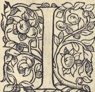An illustration from L'histoire de la natvre des oyseavx : avec levrs descriptions, & naïfs portraicts retirez du natvrel, escrite en sept livres, 1555, leaf 393
