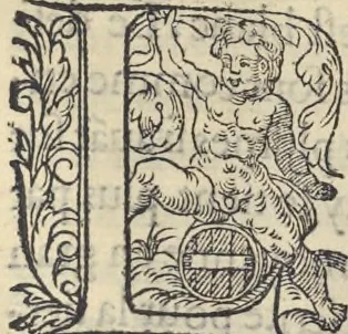 An illustration from L'histoire de la natvre des oyseavx : avec levrs descriptions, & naïfs portraicts retirez du natvrel, escrite en sept livres, 1555, leaf 400