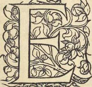 An illustration from L'histoire de la natvre des oyseavx : avec levrs descriptions, & naïfs portraicts retirez du natvrel, escrite en sept livres, 1555, leaf 404