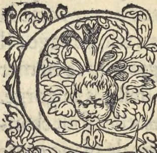 An illustration from L'histoire de la natvre des oyseavx : avec levrs descriptions, & naïfs portraicts retirez du natvrel, escrite en sept livres, 1555, leaf 405