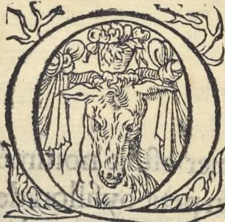 An illustration from L'histoire de la natvre des oyseavx : avec levrs descriptions, & naïfs portraicts retirez du natvrel, escrite en sept livres, 1555, leaf 407