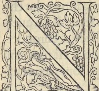 An illustration from L'histoire de la natvre des oyseavx : avec levrs descriptions, & naïfs portraicts retirez du natvrel, escrite en sept livres, 1555, leaf 411