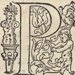 An illustration from L'histoire de la natvre des oyseavx : avec levrs descriptions, & naïfs portraicts retirez du natvrel, escrite en sept livres, 1555, leaf 43
