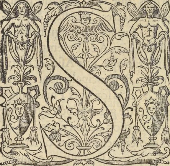 An illustration from L'histoire de la natvre des oyseavx : avec levrs descriptions, & naïfs portraicts retirez du natvrel, escrite en sept livres, 1555, leaf 6
