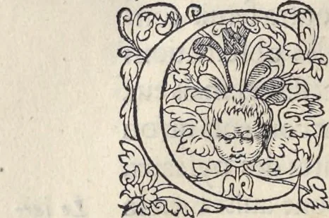 An illustration from L'histoire de la natvre des oyseavx : avec levrs descriptions, & naïfs portraicts retirez du natvrel, escrite en sept livres, 1555, leaf 69