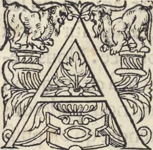 An illustration from L'histoire de la natvre des oyseavx : avec levrs descriptions, & naïfs portraicts retirez du natvrel, escrite en sept livres, 1555, leaf 81