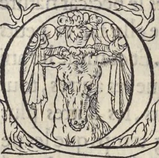 An illustration from L'histoire de la natvre des oyseavx : avec levrs descriptions, & naïfs portraicts retirez du natvrel, escrite en sept livres, 1555, leaf 83