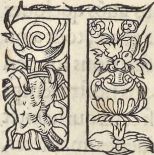 An illustration from L'histoire de la natvre des oyseavx : avec levrs descriptions, & naïfs portraicts retirez du natvrel, escrite en sept livres, 1555, leaf 85