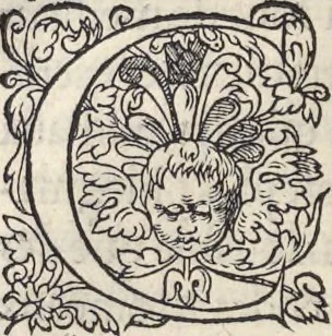 An illustration from L'histoire de la natvre des oyseavx : avec levrs descriptions, & naïfs portraicts retirez du natvrel, escrite en sept livres, 1555, leaf 87