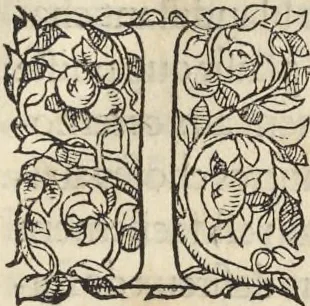 An illustration from L'histoire de la natvre des oyseavx : avec levrs descriptions, & naïfs portraicts retirez du natvrel, escrite en sept livres, 1555, leaf 98