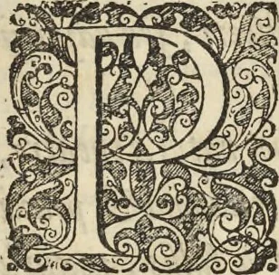 An illustration from Historia naturalis Brasiliae, : auspicio et beneficio illustriss. I. Mauritii Com. Nassau ... adornata : in qua non tantum plantæ et animalia, sed et indigenarum morbi, ingenia et mores describuntur et iconibus supra quingentas illustrantur, 1648, leaf 14