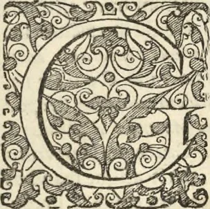 An illustration from Historia naturalis Brasiliae, : auspicio et beneficio illustriss. I. Mauritii Com. Nassau ... adornata : in qua non tantum plantæ et animalia, sed et indigenarum morbi, ingenia et mores describuntur et iconibus supra quingentas illustrantur, 1648, leaf 144