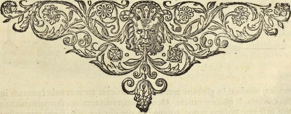 An illustration from Historia naturalis Brasiliae, : auspicio et beneficio illustriss. I. Mauritii Com. Nassau ... adornata : in qua non tantum plantæ et animalia, sed et indigenarum morbi, ingenia et mores describuntur et iconibus supra quingentas illustrantur, 1648, leaf 288