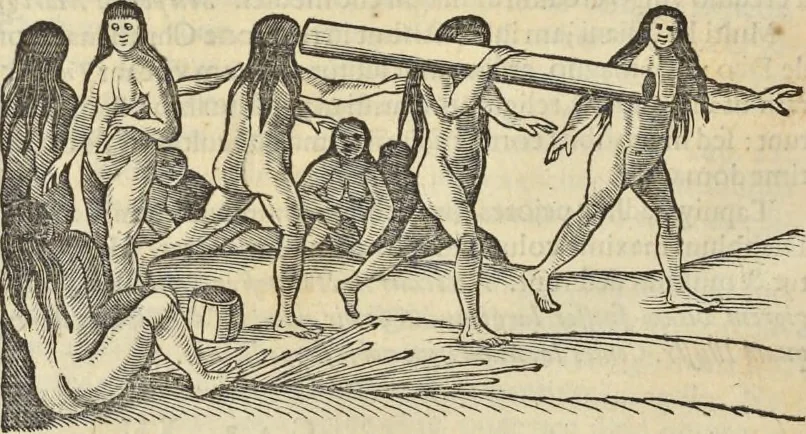 An illustration from Historia naturalis Brasiliae, : auspicio et beneficio illustriss. I. Mauritii Com. Nassau ... adornata : in qua non tantum plantæ et animalia, sed et indigenarum morbi, ingenia et mores describuntur et iconibus supra quingentas illustrantur, 1648, leaf 427