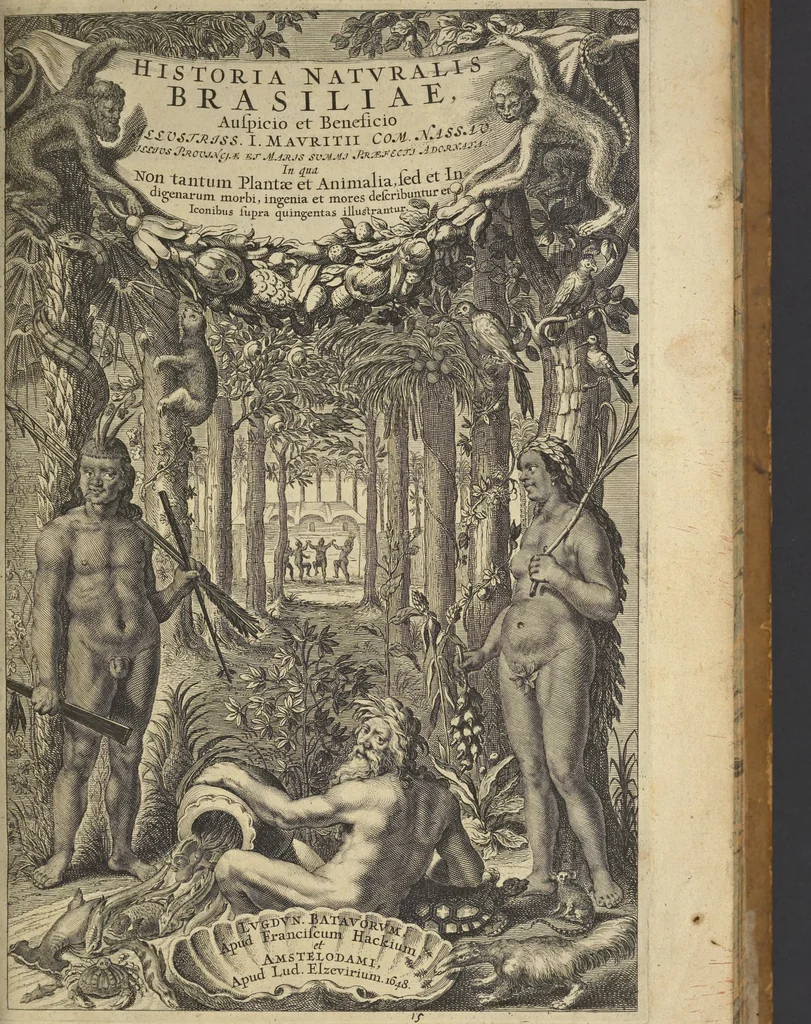 An illustration from Historia naturalis Brasiliae, : auspicio et beneficio illustriss. I. Mauritii Com. Nassau ... adornata : in qua non tantum plantæ et animalia, sed et indigenarum morbi, ingenia et mores describuntur et iconibus supra quingentas illustrantur, 1648, leaf 6
