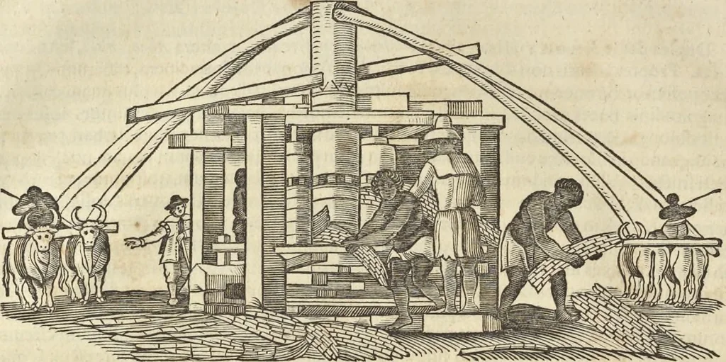 An illustration from Historia naturalis Brasiliae, : auspicio et beneficio illustriss. I. Mauritii Com. Nassau ... adornata : in qua non tantum plantæ et animalia, sed et indigenarum morbi, ingenia et mores describuntur et iconibus supra quingentas illustrantur, 1648, leaf 67