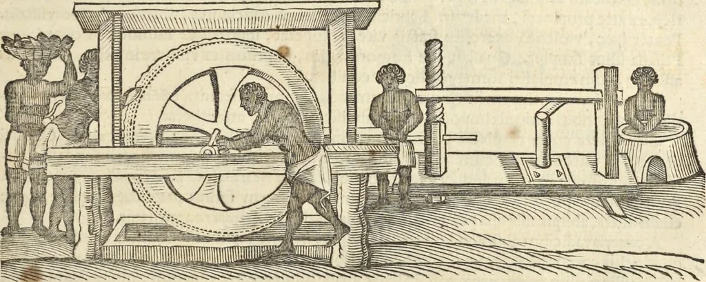 An illustration from Historia naturalis Brasiliae, : auspicio et beneficio illustriss. I. Mauritii Com. Nassau ... adornata : in qua non tantum plantæ et animalia, sed et indigenarum morbi, ingenia et mores describuntur et iconibus supra quingentas illustrantur, 1648, leaf 70