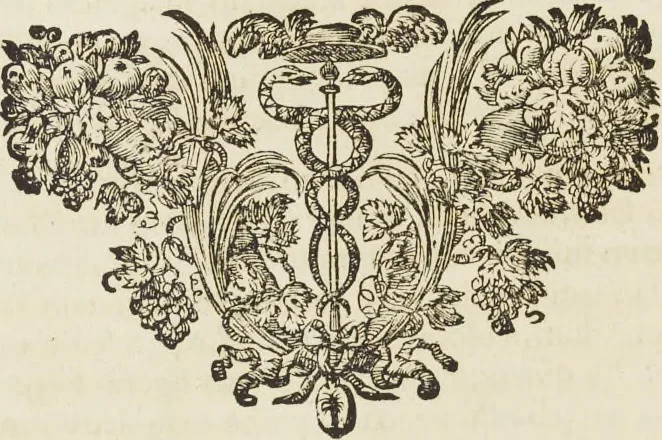 An illustration from Sculpturae veteris admiranda, sive, Delineatio vera perfectissimarum eminentissimarumque statuarum : unà cum artis hujus nobilissimae theoria ... : Carolo Ludovico, comiti Palat. Rheni ... consecrata à Joachimo de Sandrart in Stockau, 1680, leaf 21