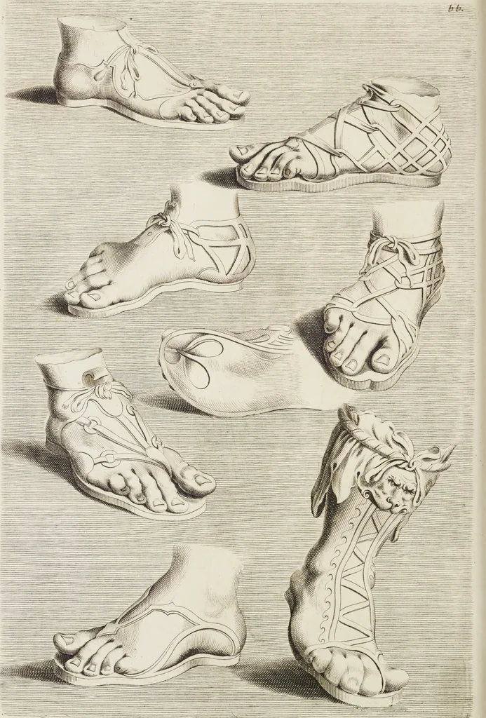 An illustration from Sculpturae veteris admiranda, sive, Delineatio vera perfectissimarum eminentissimarumque statuarum : unà cum artis hujus nobilissimae theoria ... : Carolo Ludovico, comiti Palat. Rheni ... consecrata à Joachimo de Sandrart in Stockau, 1680, leaf 285