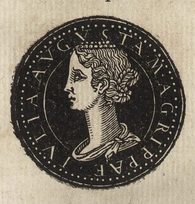 An illustration from Epitome thesavri antiqvitatum : hoc est, IMPP Rom. orientalium & occidentalium iconum, ex antiquis numismatibus quàm fidelissimè deliniatarum, 1553, leaf 106