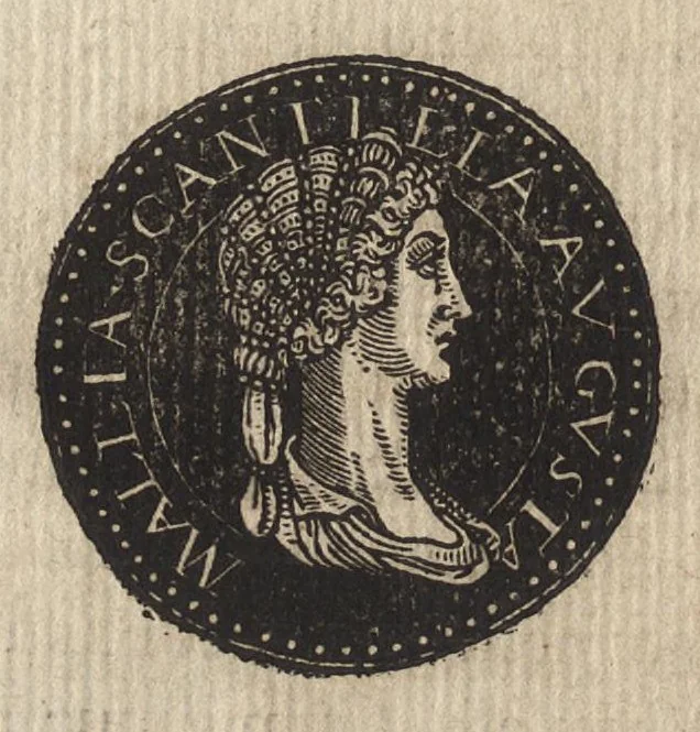 An illustration from Epitome thesavri antiqvitatum : hoc est, IMPP Rom. orientalium & occidentalium iconum, ex antiquis numismatibus quàm fidelissimè deliniatarum, 1553, leaf 185