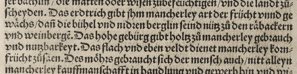 An illustration from Des aller fürtrefflichsten, höchsten vnnd adelichsten Gschöpffs aller Creaturen von Got dem Herren, Schöpffer aller Ding auff Erden, erschaffen : das ist, des Menschen (oder dein selbst) warhafftige Beschreibung, oder, Anatomi seines wunderbarlichen Vrsprungs ..., 1541, leaf 10