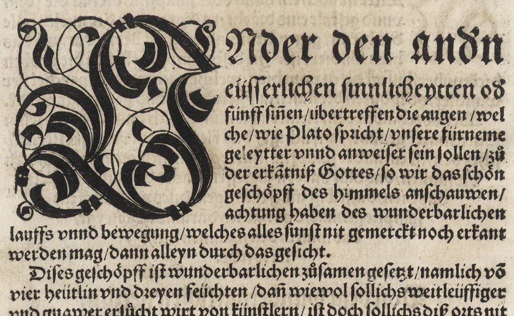 An illustration from Des aller fürtrefflichsten, höchsten vnnd adelichsten Gschöpffs aller Creaturen von Got dem Herren, Schöpffer aller Ding auff Erden, erschaffen : das ist, des Menschen (oder dein selbst) warhafftige Beschreibung, oder, Anatomi seines wunderbarlichen Vrsprungs ..., 1541, leaf 141