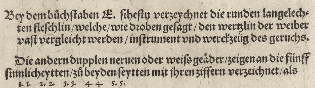 An illustration from Des aller fürtrefflichsten, höchsten vnnd adelichsten Gschöpffs aller Creaturen von Got dem Herren, Schöpffer aller Ding auff Erden, erschaffen : das ist, des Menschen (oder dein selbst) warhafftige Beschreibung, oder, Anatomi seines wunderbarlichen Vrsprungs ..., 1541, leaf 157