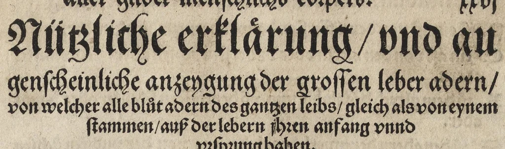 An illustration from Des aller fürtrefflichsten, höchsten vnnd adelichsten Gschöpffs aller Creaturen von Got dem Herren, Schöpffer aller Ding auff Erden, erschaffen : das ist, des Menschen (oder dein selbst) warhafftige Beschreibung, oder, Anatomi seines wunderbarlichen Vrsprungs ..., 1541, leaf 70
