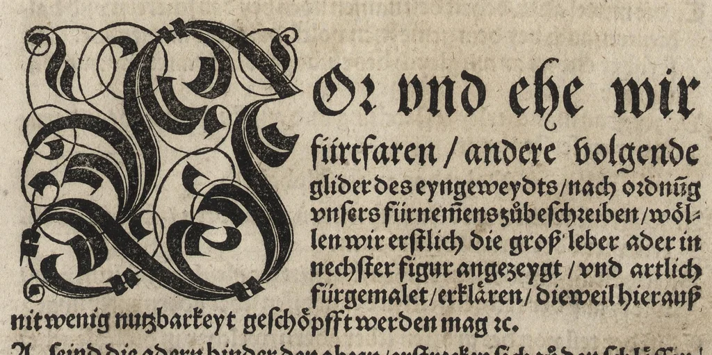 An illustration from Des aller fürtrefflichsten, höchsten vnnd adelichsten Gschöpffs aller Creaturen von Got dem Herren, Schöpffer aller Ding auff Erden, erschaffen : das ist, des Menschen (oder dein selbst) warhafftige Beschreibung, oder, Anatomi seines wunderbarlichen Vrsprungs ..., 1541, leaf 70