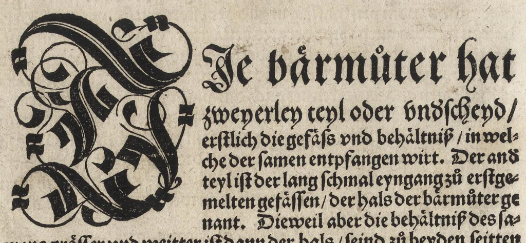 An illustration from Des aller fürtrefflichsten, höchsten vnnd adelichsten Gschöpffs aller Creaturen von Got dem Herren, Schöpffer aller Ding auff Erden, erschaffen : das ist, des Menschen (oder dein selbst) warhafftige Beschreibung, oder, Anatomi seines wunderbarlichen Vrsprungs ..., 1541, leaf 83