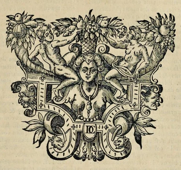 An illustration from Le dictionnaire des arts et des sciences, 1694, leaf 538