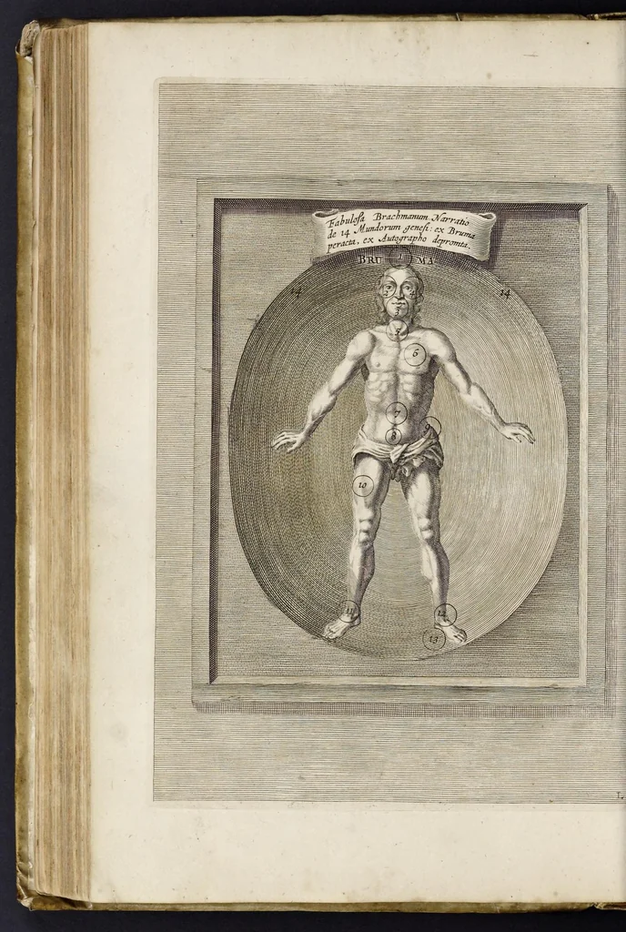 An illustration from Athanasii Kircheri e Soc. Jesu China monumentis, quà sacris quà profanis, nec non variis naturae & artis spectaculis, aliarumque rerum memorabilium argumentis illustrata, auspiciis Leopoldi Primi roman. imper, 1667, leaf 213