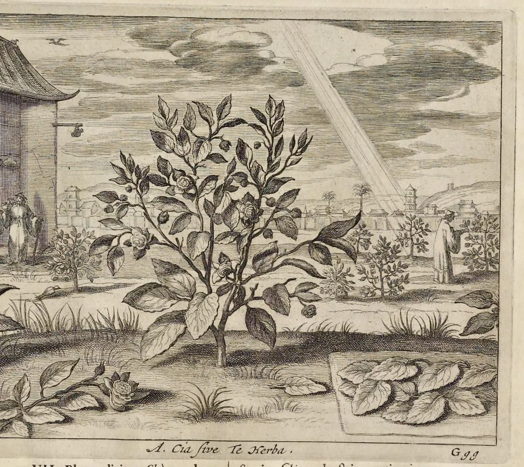 An illustration from Athanasii Kircheri e Soc. Jesu China monumentis, quà sacris quà profanis, nec non variis naturae & artis spectaculis, aliarumque rerum memorabilium argumentis illustrata, auspiciis Leopoldi Primi roman. imper, 1667, leaf 248