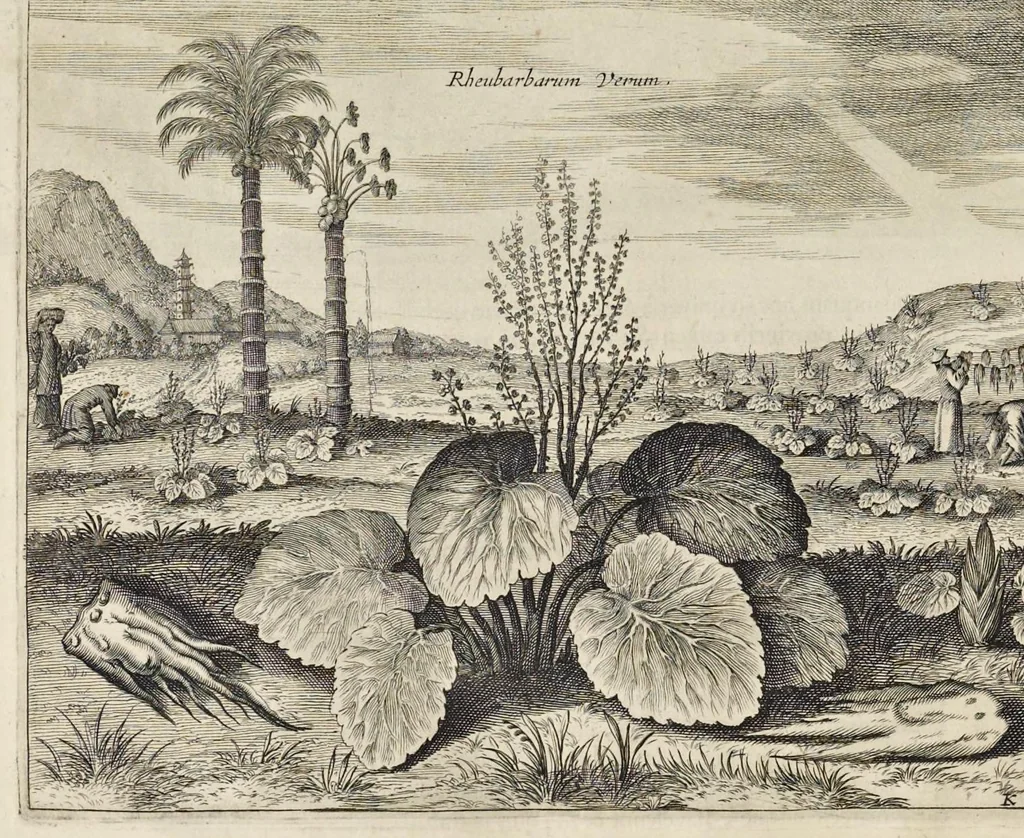 An illustration from Athanasii Kircheri e Soc. Jesu China monumentis, quà sacris quà profanis, nec non variis naturae & artis spectaculis, aliarumque rerum memorabilium argumentis illustrata, auspiciis Leopoldi Primi roman. imper, 1667, leaf 253