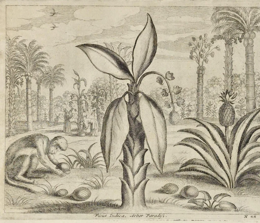 An illustration from Athanasii Kircheri e Soc. Jesu China monumentis, quà sacris quà profanis, nec non variis naturae & artis spectaculis, aliarumque rerum memorabilium argumentis illustrata, auspiciis Leopoldi Primi roman. imper, 1667, leaf 257