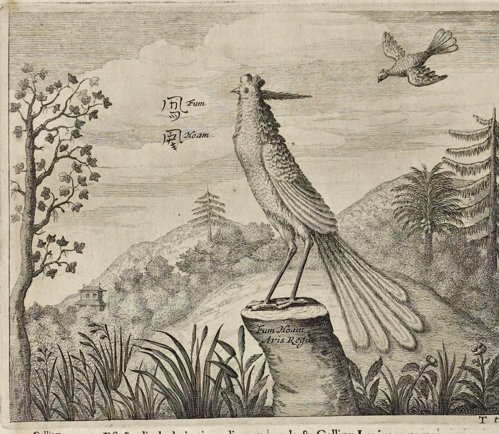 An illustration from Athanasii Kircheri e Soc. Jesu China monumentis, quà sacris quà profanis, nec non variis naturae & artis spectaculis, aliarumque rerum memorabilium argumentis illustrata, auspiciis Leopoldi Primi roman. imper, 1667, leaf 267