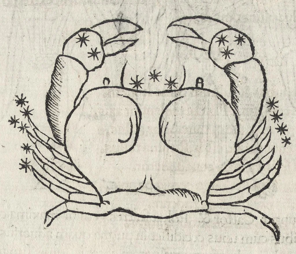 An illustration from Iulii Firmici Astronomicorum libri octo integri & emendati, ex Scythicis oris ad nos nuper allati. Marci Manilii Astronomicorum libri quinque. Arati Phaenomena Germanico Caesare interprete cum commentariis & imaginibus. Arati eiusdem Phaenomenon fragmentum Marco T.C. interprete. Arati eiusdem Phaenomena Ruffo Festo Auienio paraphraste. Arati Phaenomena graece. Theonis Commentaria copiosissima in Arati Phaenomena graece. Procli Diadochi Sphaera graece. Procli eiusdem Sphaera, Thoma Linacro Britanno interprete, 1503, leaf 505