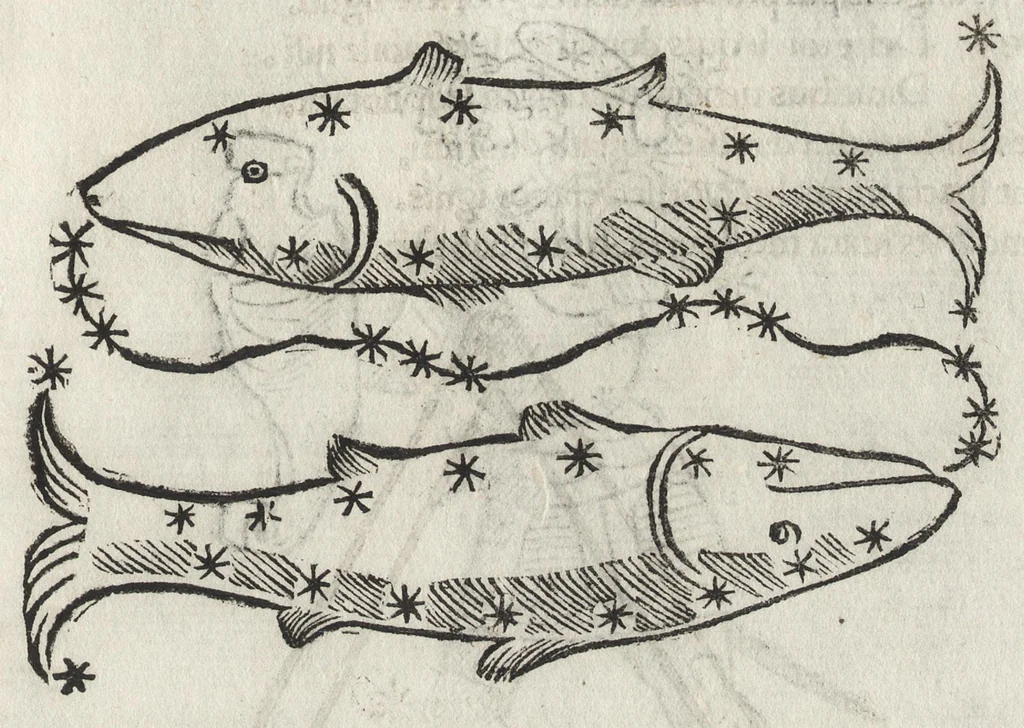 An illustration from Iulii Firmici Astronomicorum libri octo integri & emendati, ex Scythicis oris ad nos nuper allati. Marci Manilii Astronomicorum libri quinque. Arati Phaenomena Germanico Caesare interprete cum commentariis & imaginibus. Arati eiusdem Phaenomenon fragmentum Marco T.C. interprete. Arati eiusdem Phaenomena Ruffo Festo Auienio paraphraste. Arati Phaenomena graece. Theonis Commentaria copiosissima in Arati Phaenomena graece. Procli Diadochi Sphaera graece. Procli eiusdem Sphaera, Thoma Linacro Britanno interprete, 1503, leaf 518