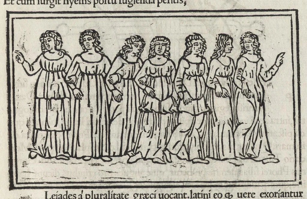 An illustration from Iulii Firmici Astronomicorum libri octo integri & emendati, ex Scythicis oris ad nos nuper allati. Marci Manilii Astronomicorum libri quinque. Arati Phaenomena Germanico Caesare interprete cum commentariis & imaginibus. Arati eiusdem Phaenomenon fragmentum Marco T.C. interprete. Arati eiusdem Phaenomena Ruffo Festo Auienio paraphraste. Arati Phaenomena graece. Theonis Commentaria copiosissima in Arati Phaenomena graece. Procli Diadochi Sphaera graece. Procli eiusdem Sphaera, Thoma Linacro Britanno interprete, 1503, leaf 520