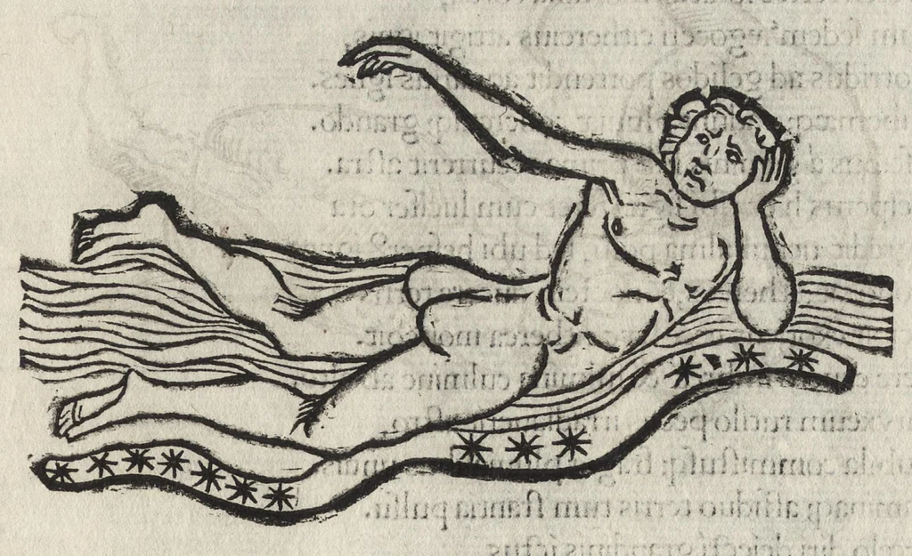 An illustration from Iulii Firmici Astronomicorum libri octo integri & emendati, ex Scythicis oris ad nos nuper allati. Marci Manilii Astronomicorum libri quinque. Arati Phaenomena Germanico Caesare interprete cum commentariis & imaginibus. Arati eiusdem Phaenomenon fragmentum Marco T.C. interprete. Arati eiusdem Phaenomena Ruffo Festo Auienio paraphraste. Arati Phaenomena graece. Theonis Commentaria copiosissima in Arati Phaenomena graece. Procli Diadochi Sphaera graece. Procli eiusdem Sphaera, Thoma Linacro Britanno interprete, 1503, leaf 536